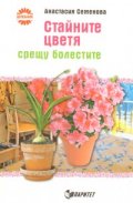 Стайните цветя срещу болестите