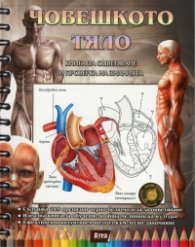 Човешкото тяло. Книга за оцветяване и проверка на знанията