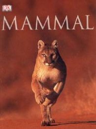 Mammal