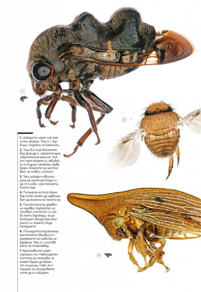 National Geographic България Септември/2021