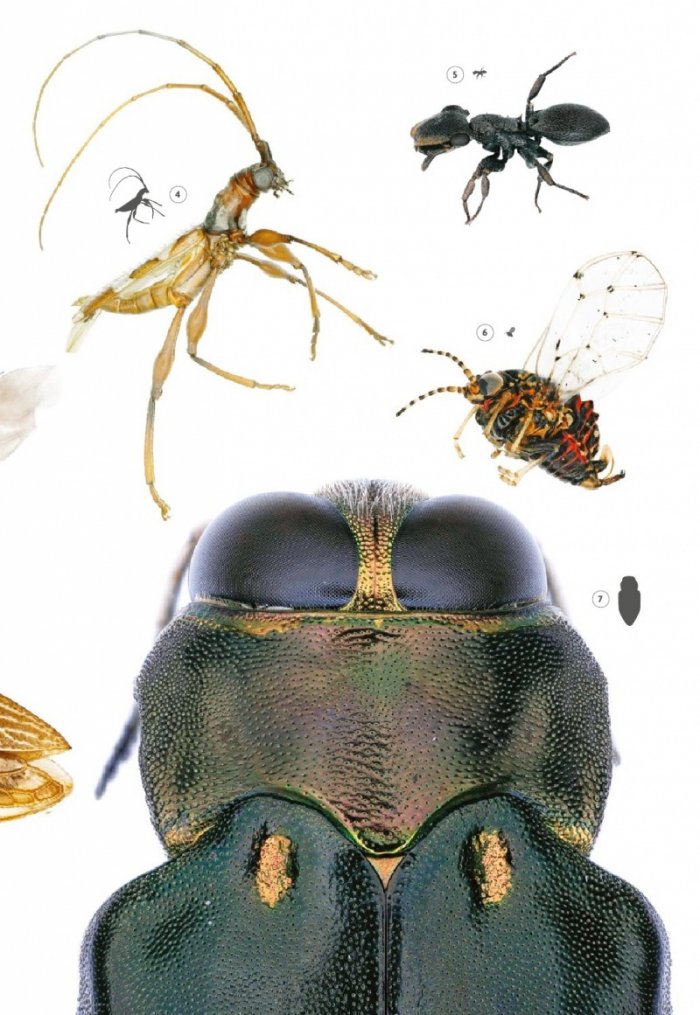 National Geographic България Септември/2021