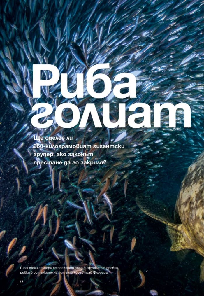 National Geographic България 10/2015