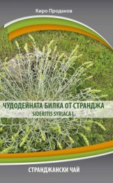 Чудодейната билка от Странджа Sideritis siriaca l.
