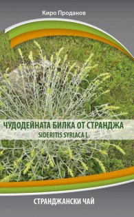 Чудодейната билка от Странджа Sideritis siriaca l.