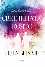 Светлината, която изгубихме