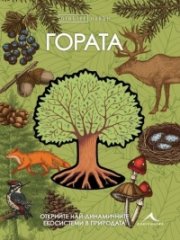 Гората. Отвътре навън