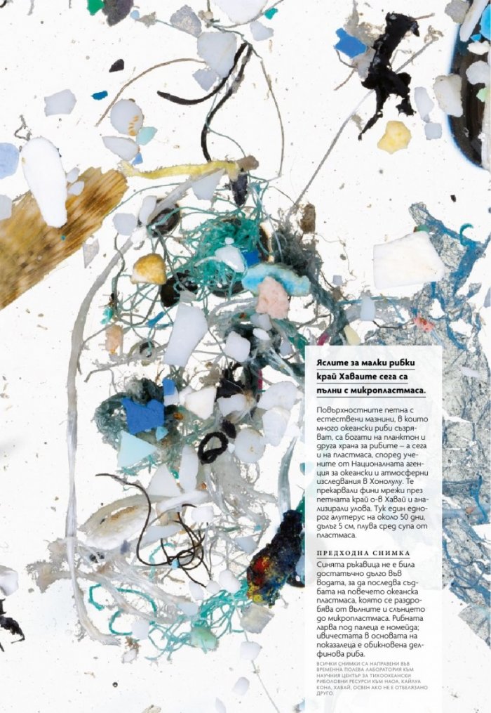 National Geographic България 5/2019