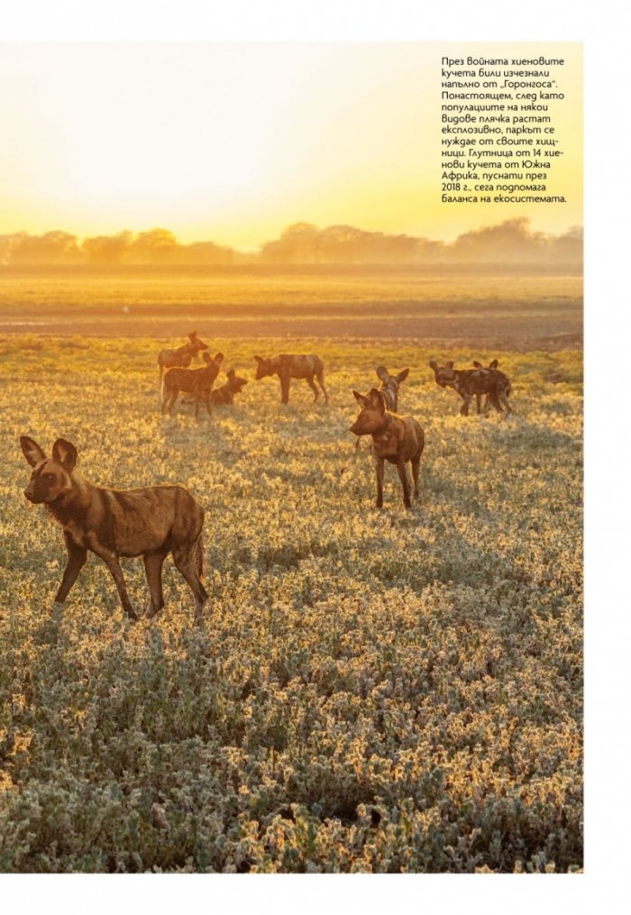 National Geographic България 5/2019
