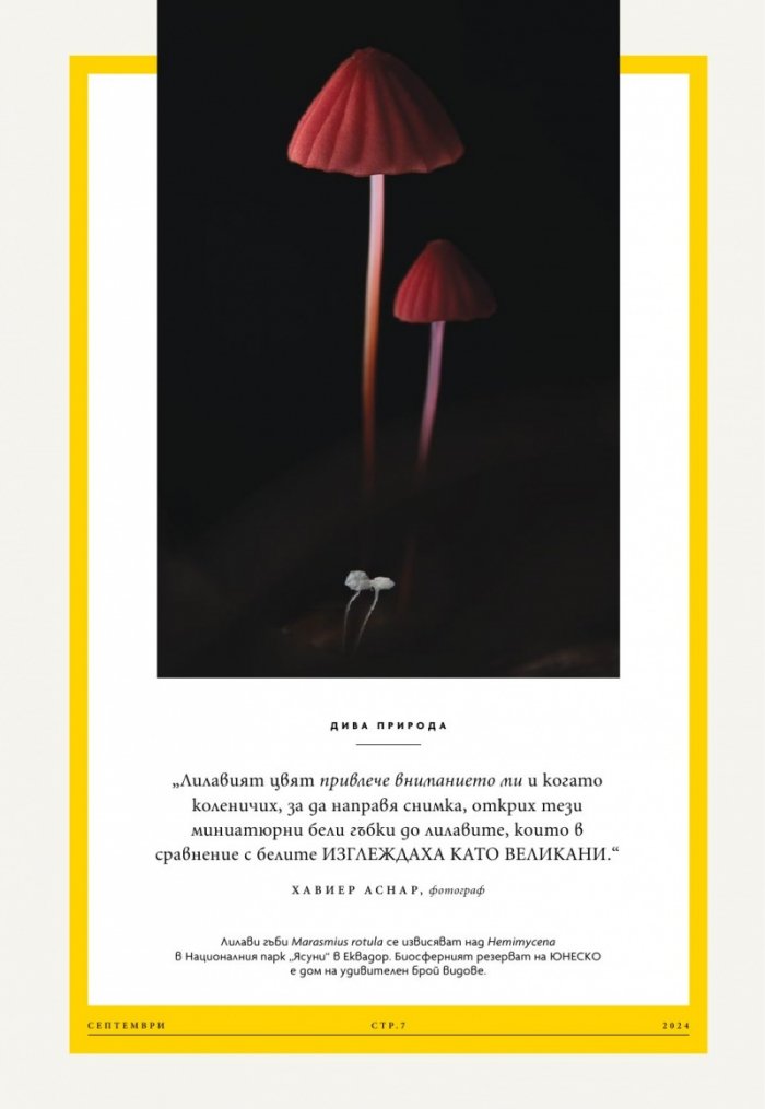 National Geographic България Септември/2024