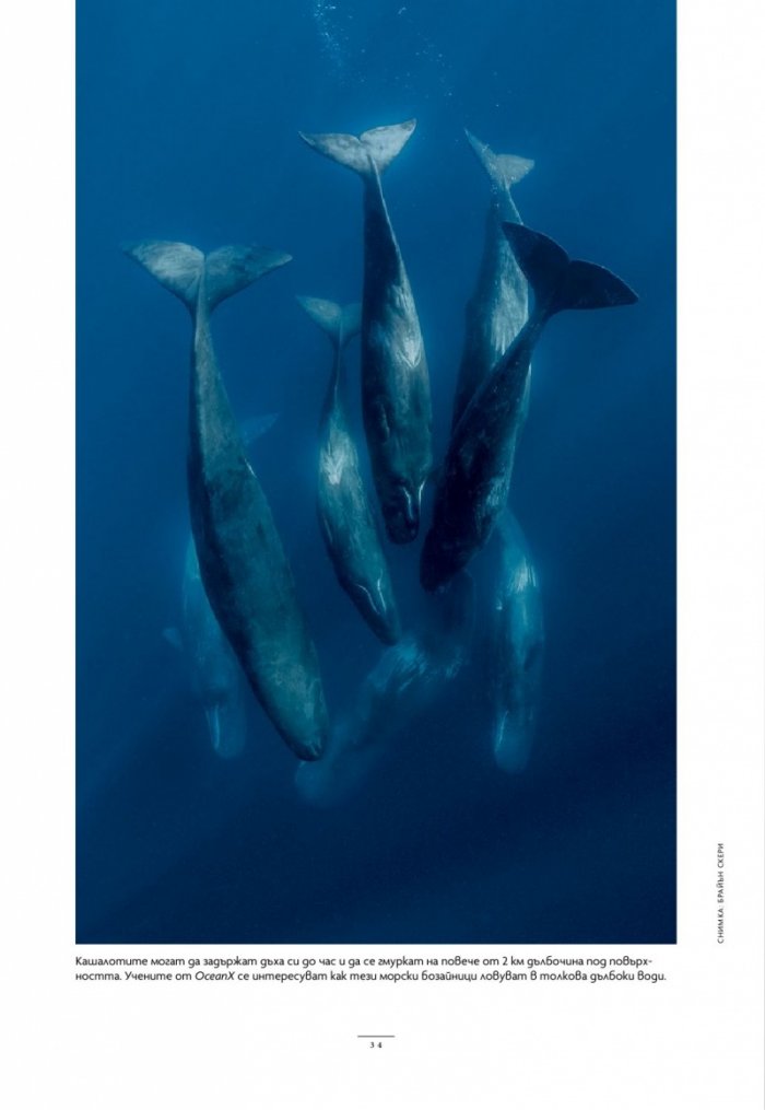 National Geographic България Септември/2024