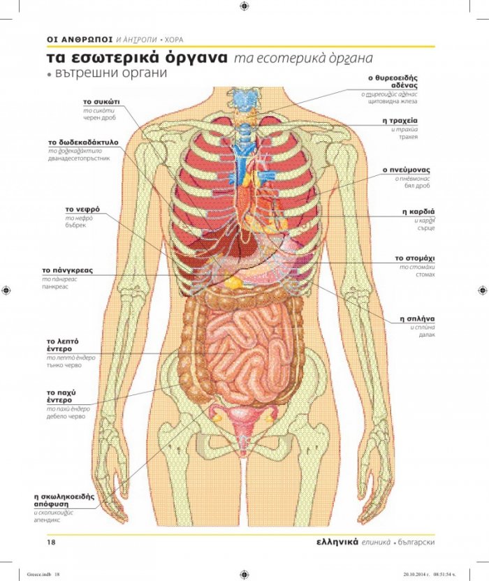 Гръцко-български двуезичен картинен речник