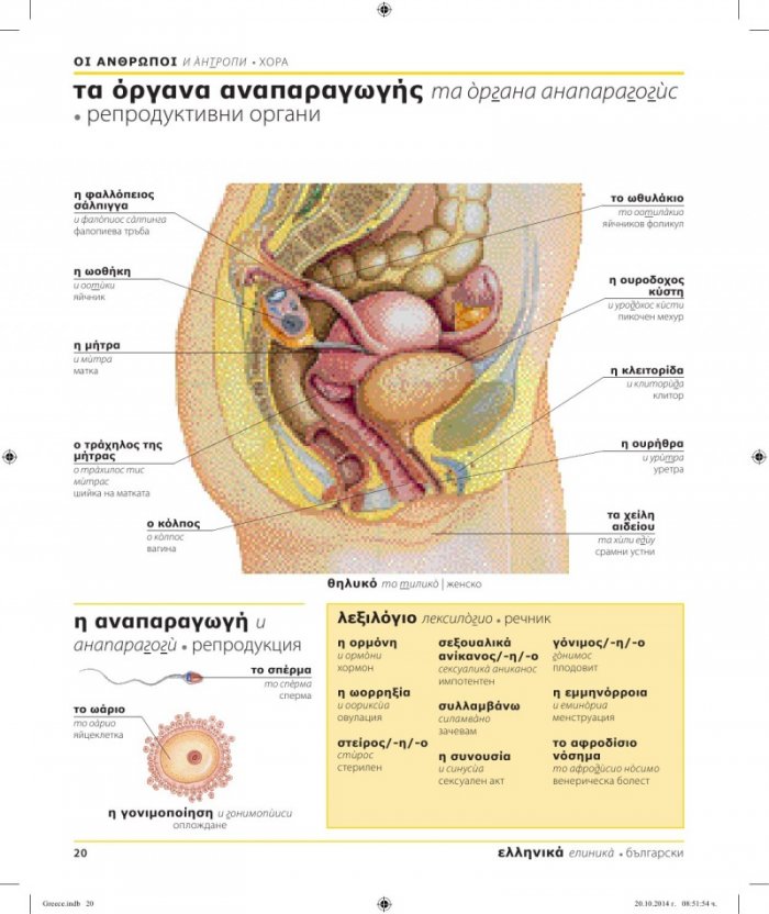Гръцко-български двуезичен картинен речник