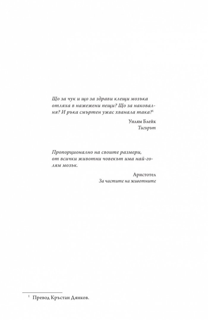 Дракони в райската градина