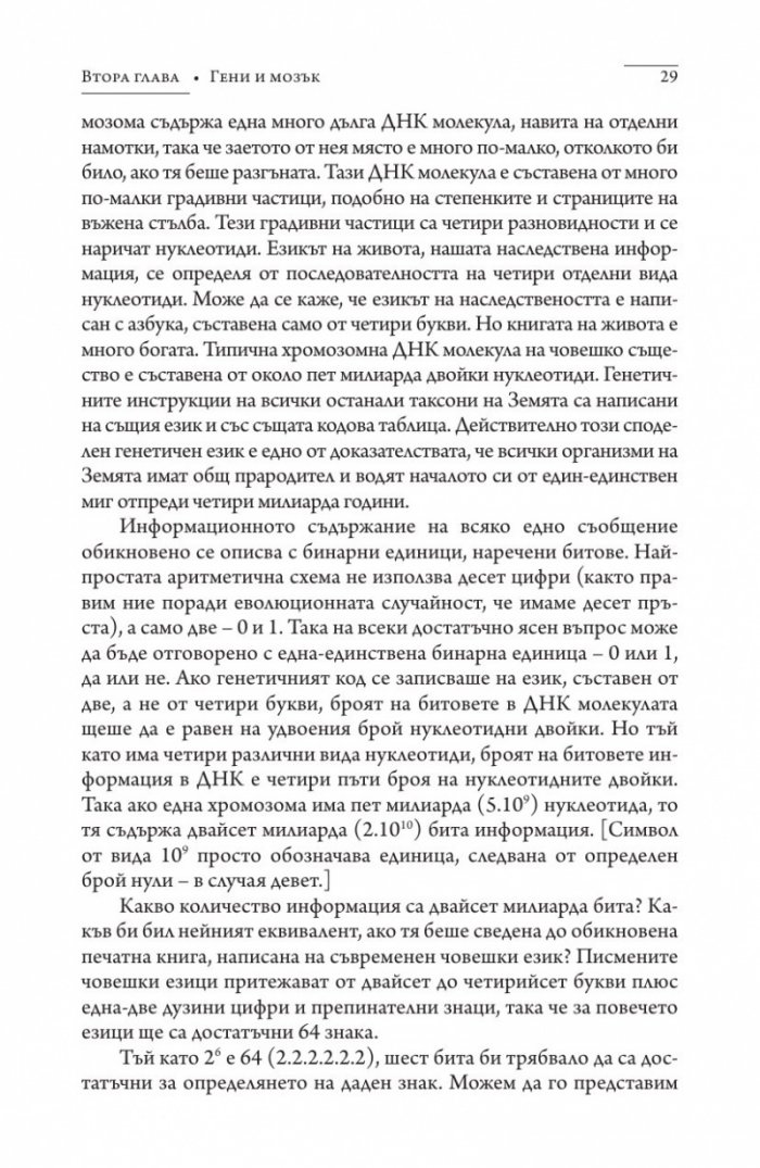 Дракони в райската градина