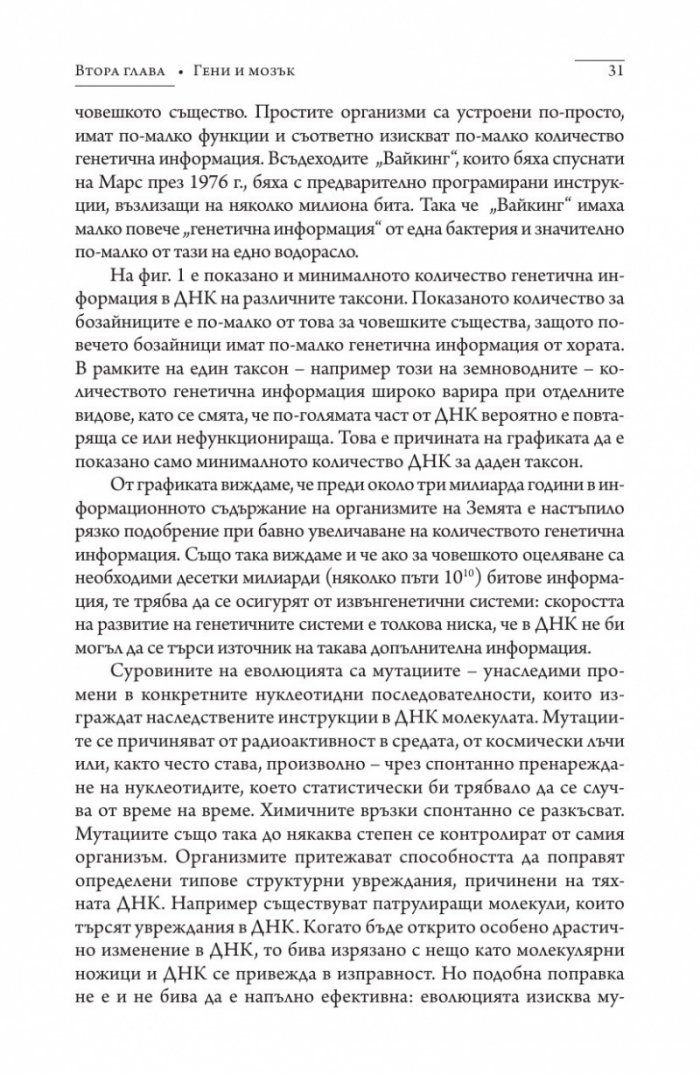 Дракони в райската градина