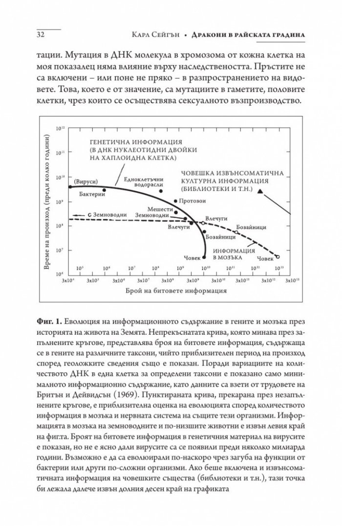 Дракони в райската градина