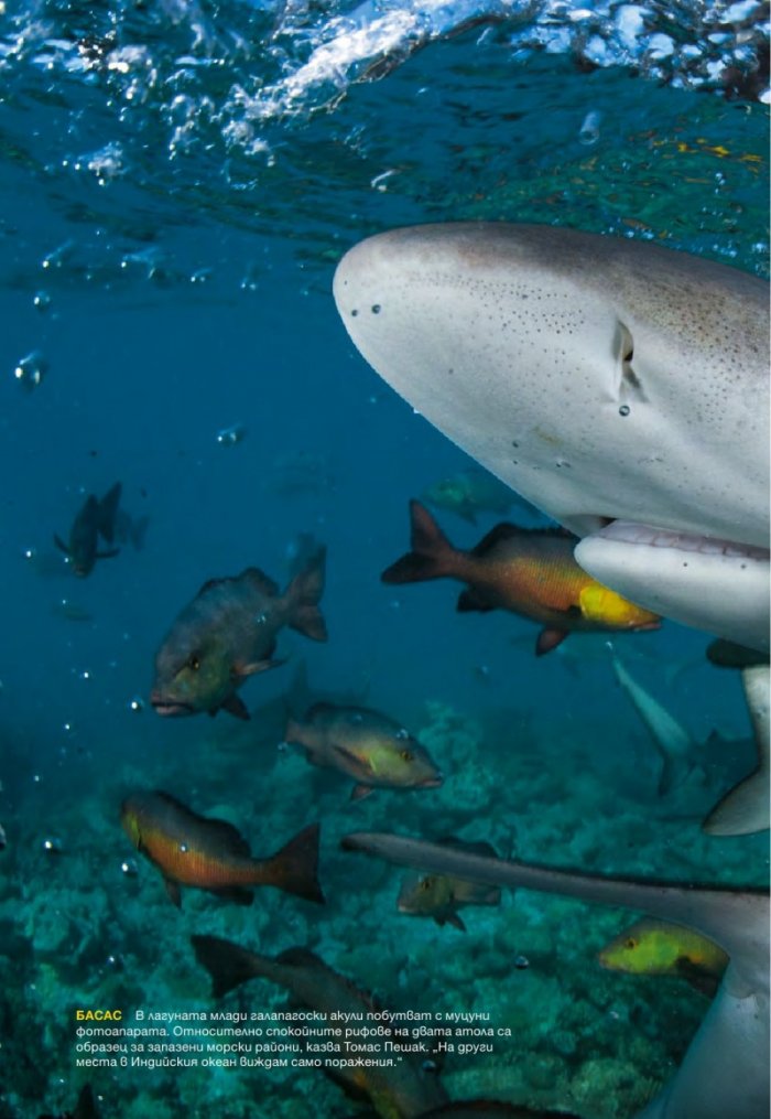 National Geographic 8/2014
