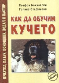 Как да обучим кучето