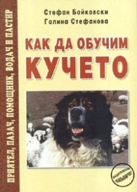 Как да обучим кучето