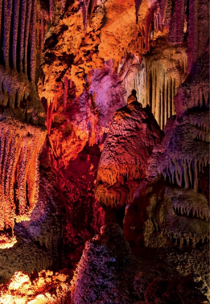 National Geographic България 12/2015