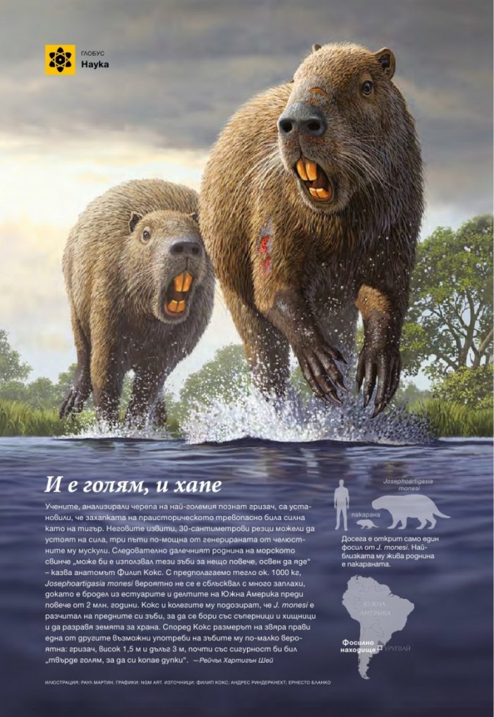 National Geographic България 12/2015