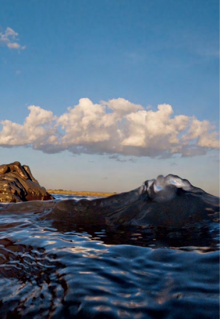 National Geographic България 12/2015
