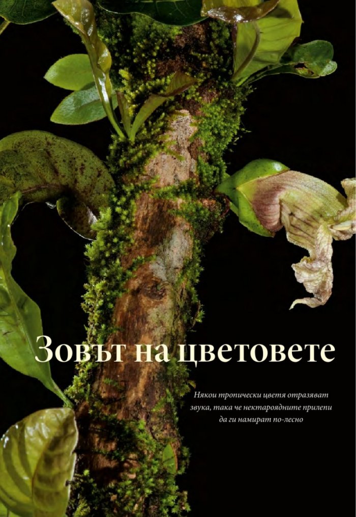 National Geographic 4/2014