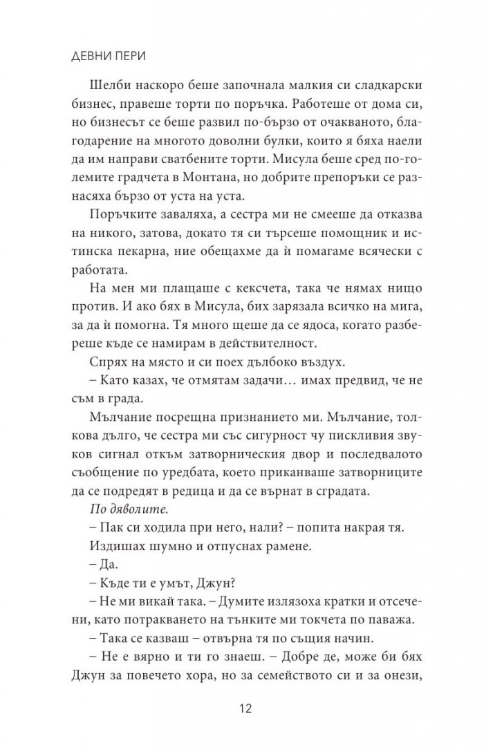 Тенекиена кралица - Кн.6 от поредицата Тенекиени номади