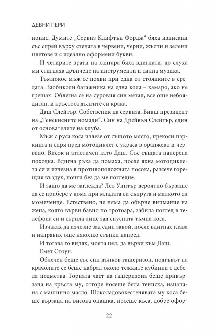Тенекиена кралица - Кн.6 от поредицата Тенекиени номади