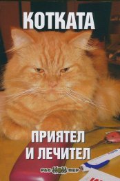 Котката - приятел и лечител