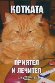 Котката - приятел и лечител